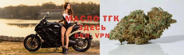 дживик Снежногорск