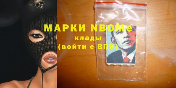 дживик Снежногорск