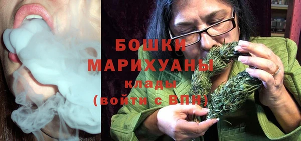 дживик Снежногорск