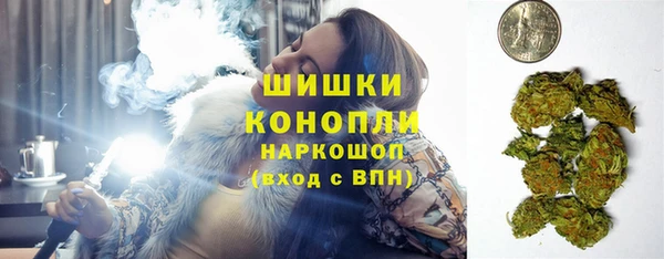дживик Снежногорск